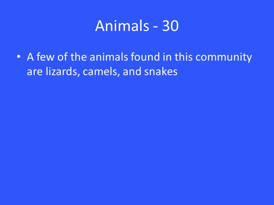 Animals - 30 A few of the animals found in this community are lizards, camels, and snakes