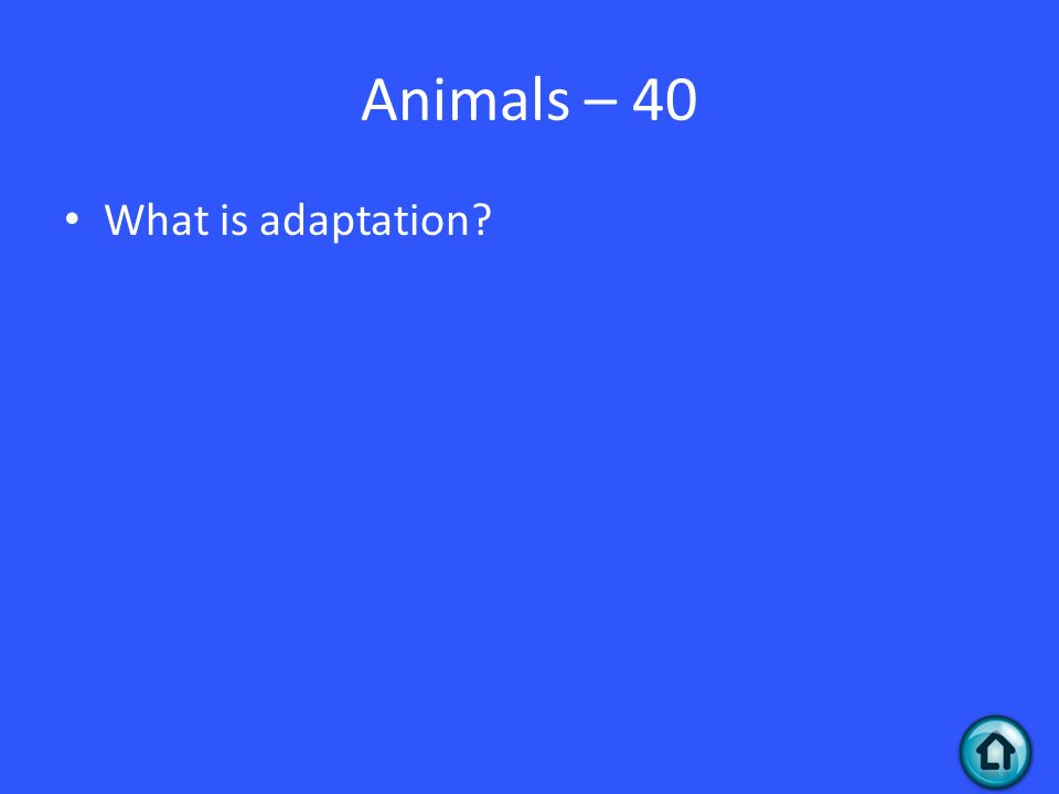 Animals – 40 What is adaptation