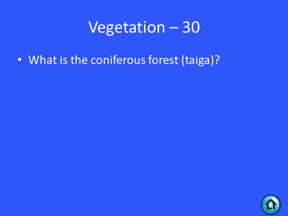 Vegetation – 30 What is the coniferous forest (taiga)