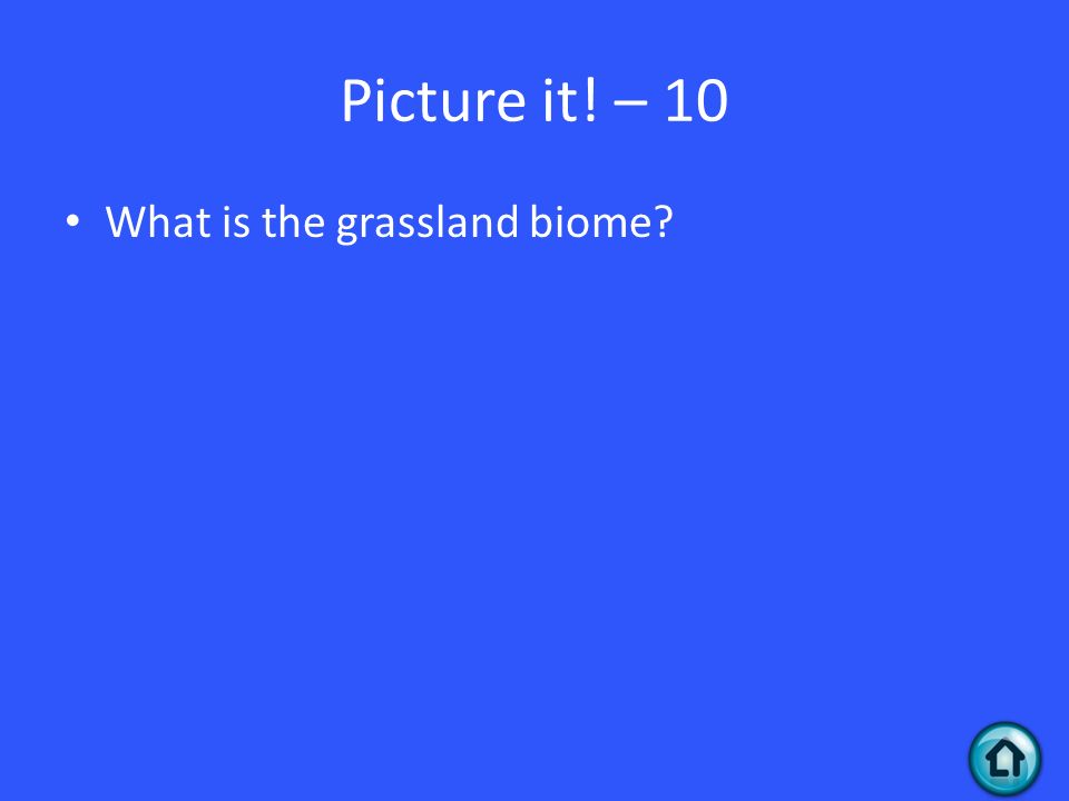 Picture it! – 10 What is the grassland biome