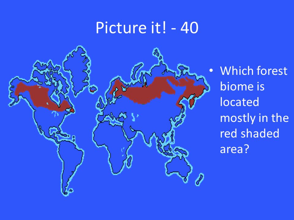 Picture it! - 40 Which forest biome is located mostly in the red shaded area