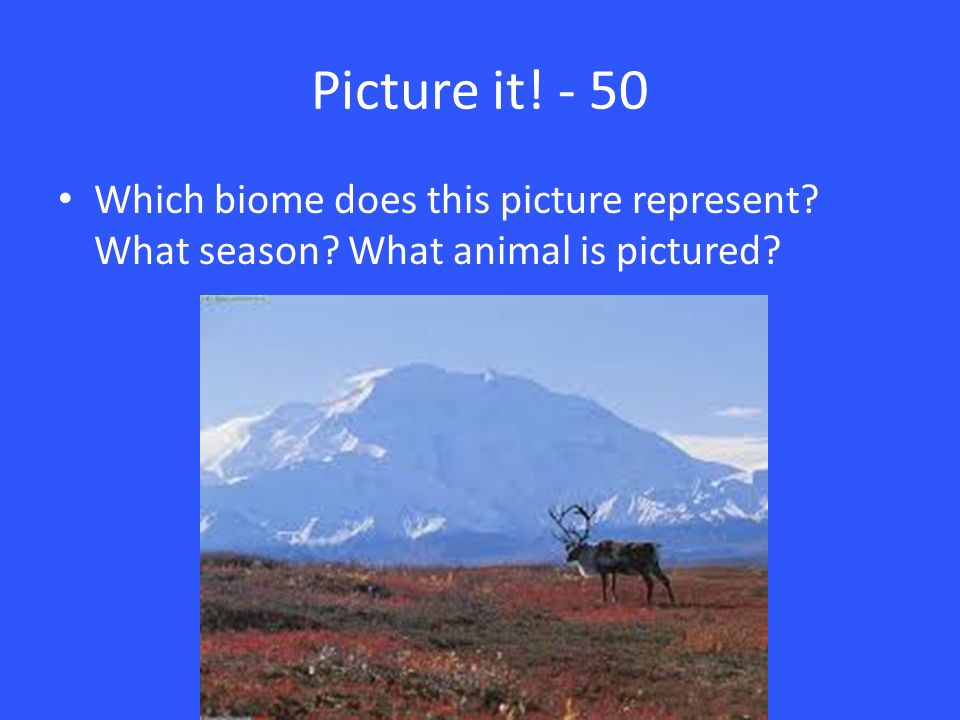Picture it! - 50 Which biome does this picture represent What season What animal is pictured