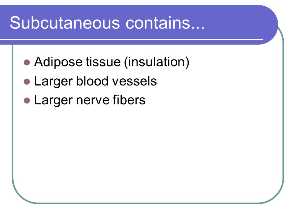 Subcutaneous contains... Adipose tissue (insulation) Larger blood vessels Larger nerve fibers