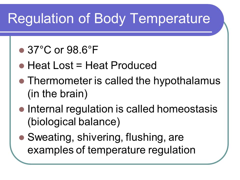 Regulation of Body Temperature 37°C or 98.6°F Heat Lost = Heat Produced Thermometer is called the hypothalamus (in the brain) Internal regulation is called homeostasis (biological balance) Sweating, shivering, flushing, are examples of temperature regulation