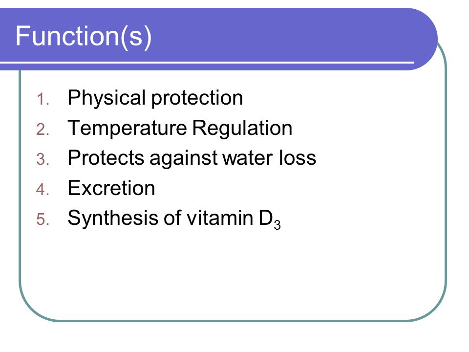 Function(s) 1. Physical protection 2. Temperature Regulation 3.