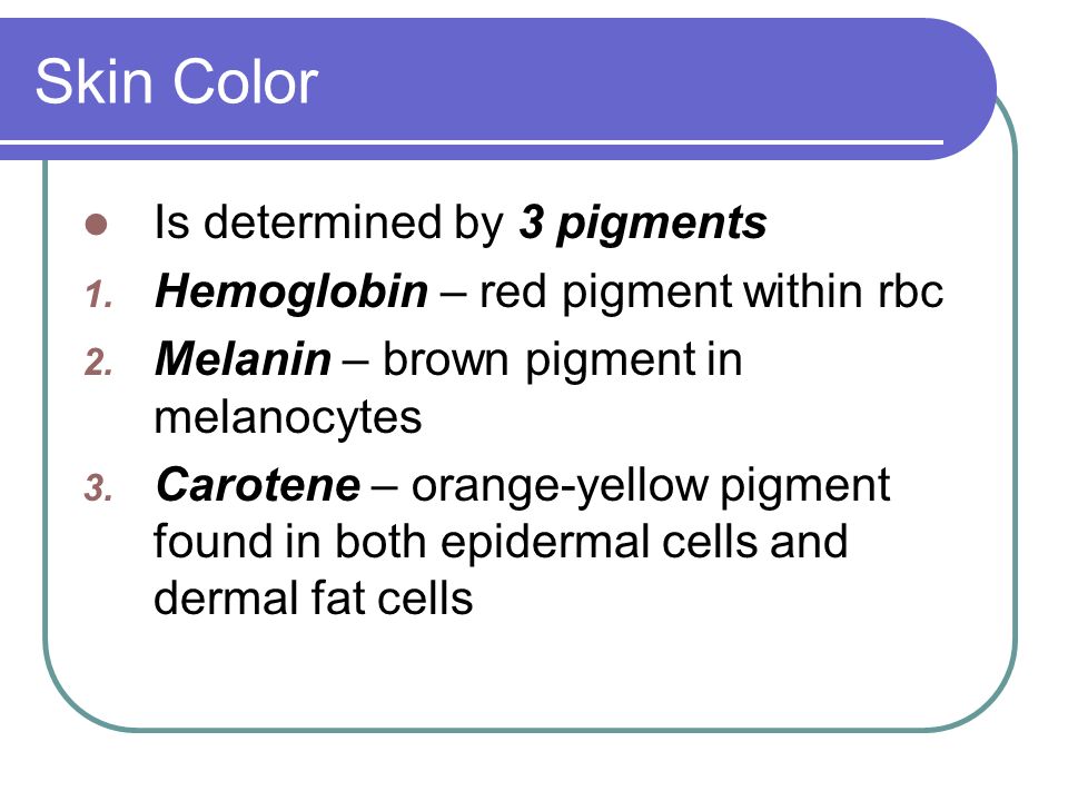 Skin Color Is determined by 3 pigments 1. Hemoglobin – red pigment within rbc 2.