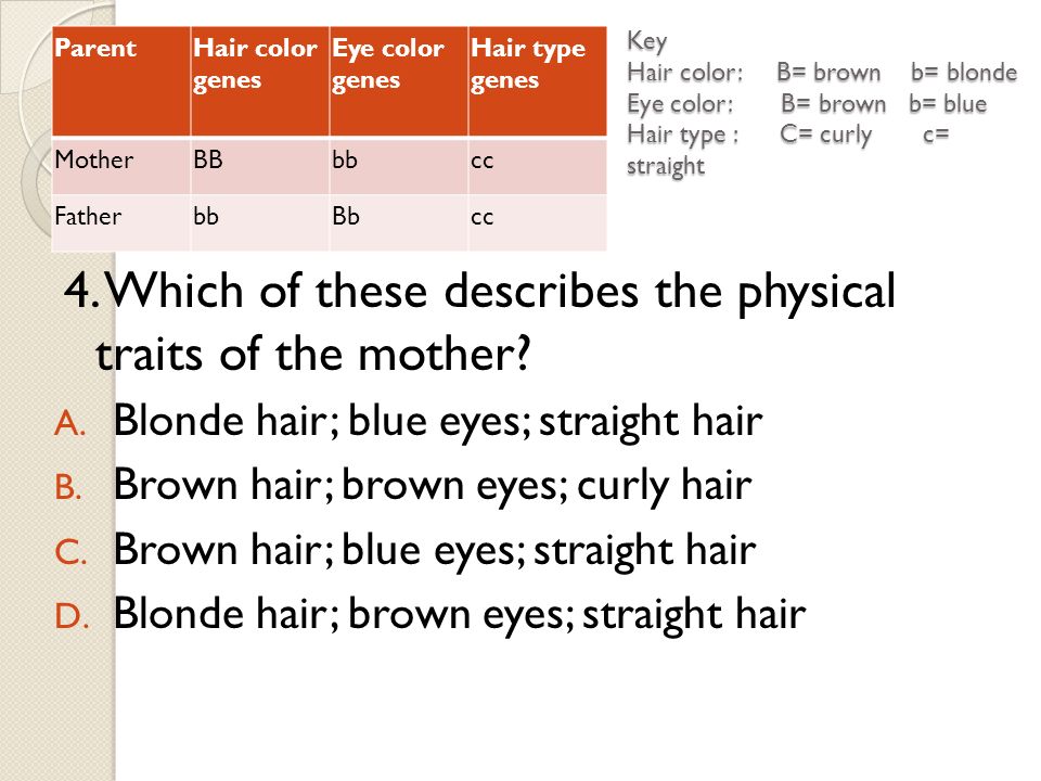 Review Test Which Of These Human Traits Is Least Likely Inherited 8 Key Hair Color B Brown Blonde Eye Blue Type C Curly Straight Pahair Genes