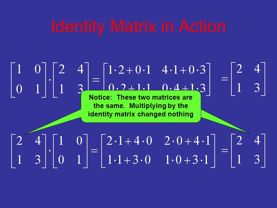 Identity Matrix in Action Notice: These two matrices are the same.