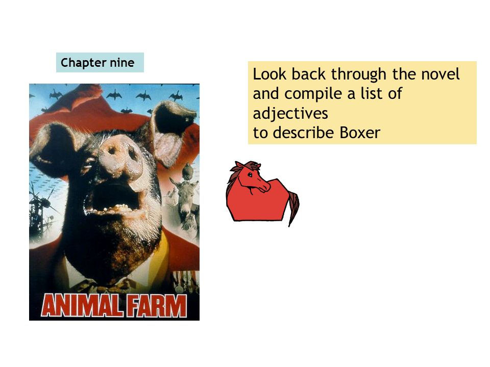 Chapter nine Look back through the novel and compile a list of adjectives to describe Boxer