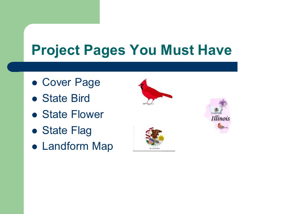 Project Pages You Must Have Cover Page State Bird State Flower State Flag Landform Map