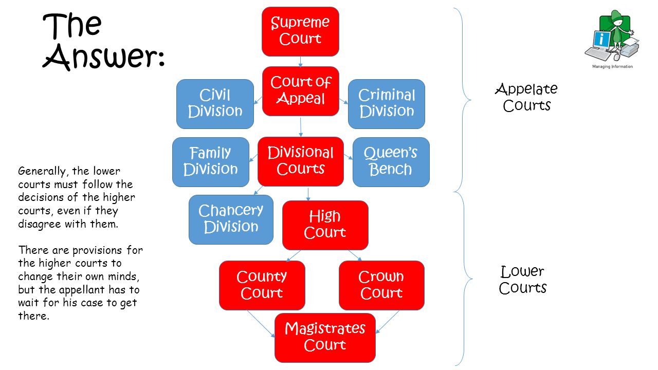 the judicial process essay the judicial process essay