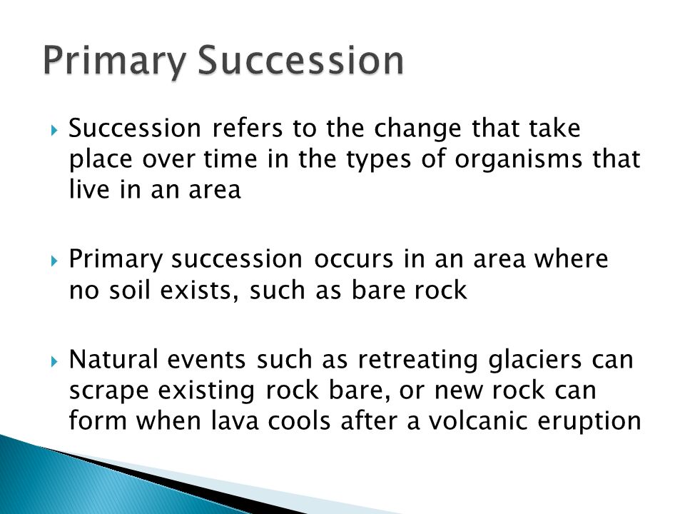 primary and secondary succession primary and secondary succession