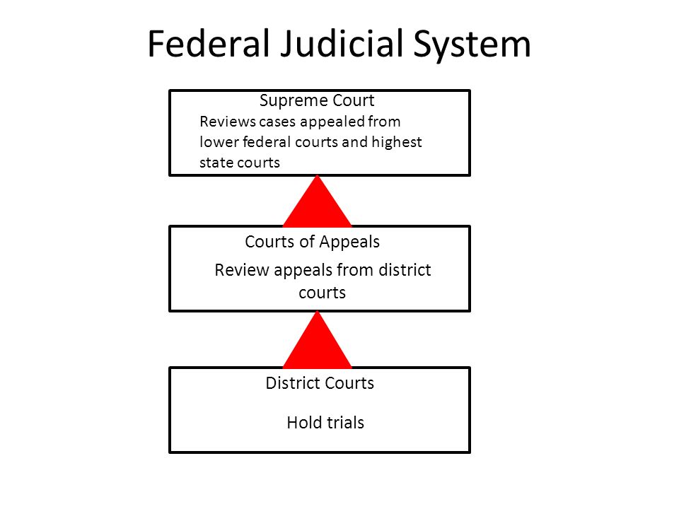 Federal Judicial System Supreme Court Reviews cases appealed from lower federal courts and highest state courts Courts of Appeals Review appeals from district courts District Courts Hold trials