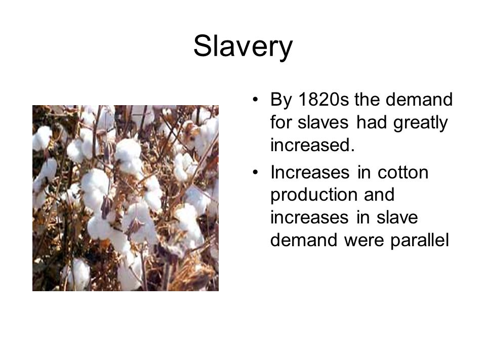 Slavery By 1820s the demand for slaves had greatly increased.