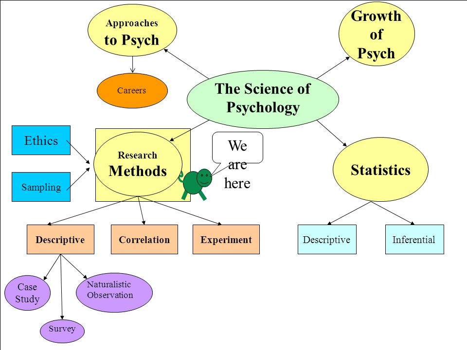 study of psychology essay study of psychology essay