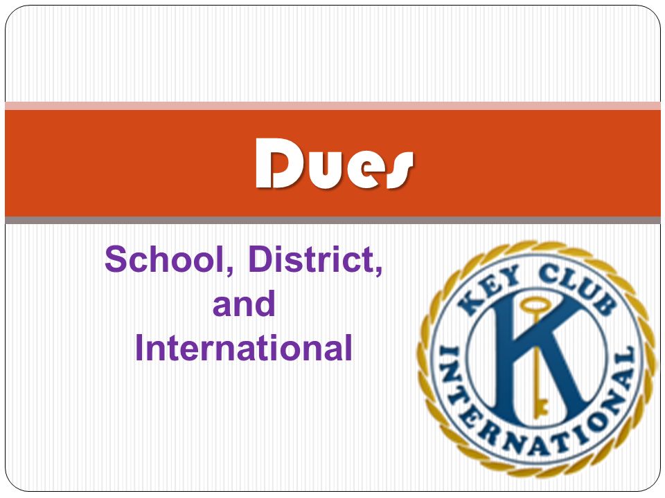 School, District, and International Dues