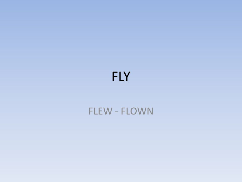 FLY FLEW - FLOWN