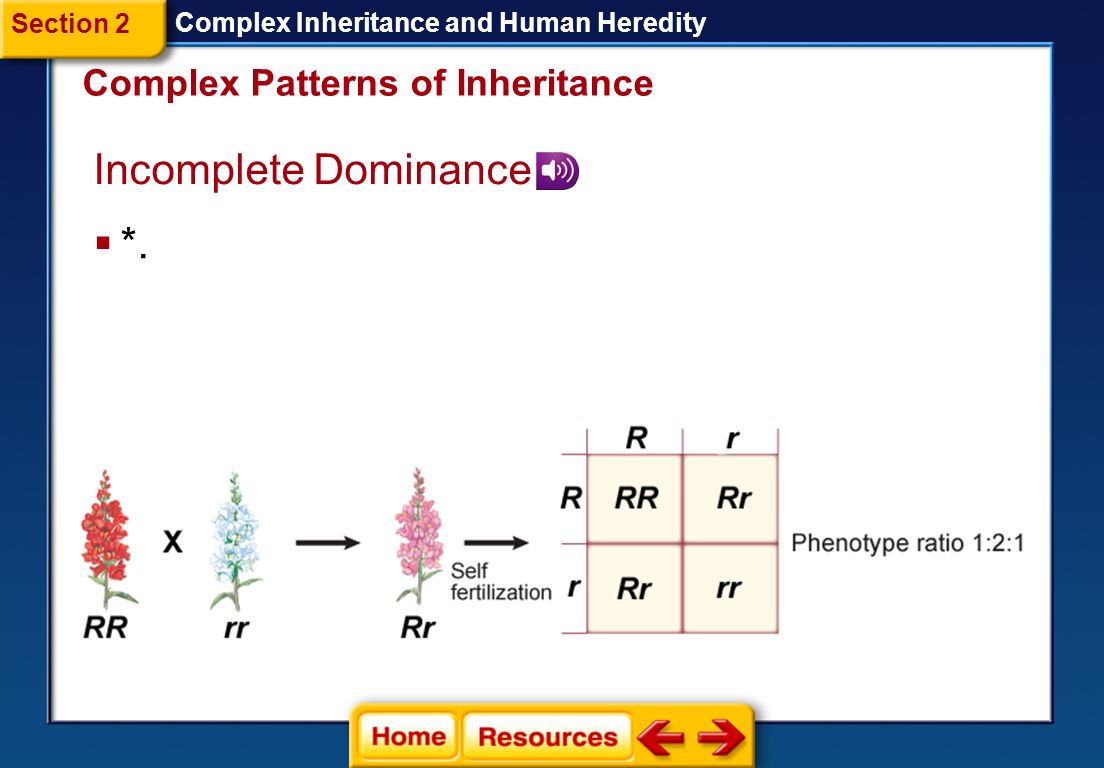 an hereditary experiment to determine the inheritance patterns of fruit flies Home / genetics / genetics of organisms / x-linked inheritance eye color inheritance patterns in fruit flies: sex-linked inheritance patterns and. an hereditary experiment to determine the inheritance patterns of fruit flies Home / genetics / genetics of organisms / x-linked inheritance eye color inheritance patterns in fruit flies: sex-linked inheritance patterns and.