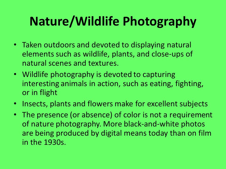 Nature/Wildlife Photography Taken outdoors and devoted to displaying natural elements such as wildlife, plants, and close-ups of natural scenes and textures.