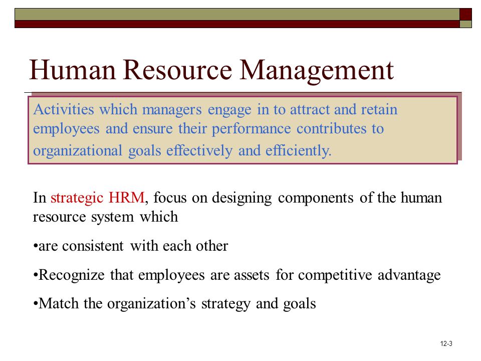 hr professionals role in organizational strategy hr professionals role in organizational strategy