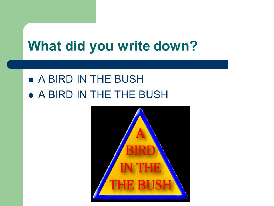 What did you write down A BIRD IN THE BUSH A BIRD IN THE THE BUSH