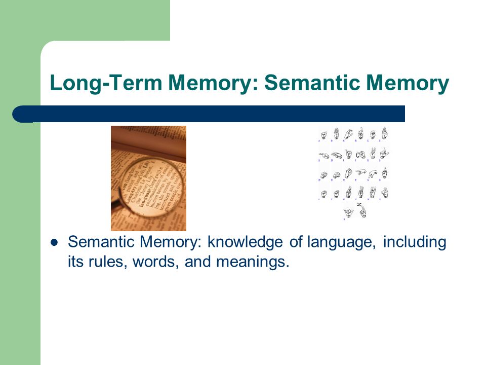 Long-Term Memory: Semantic Memory Semantic Memory: knowledge of language, including its rules, words, and meanings.