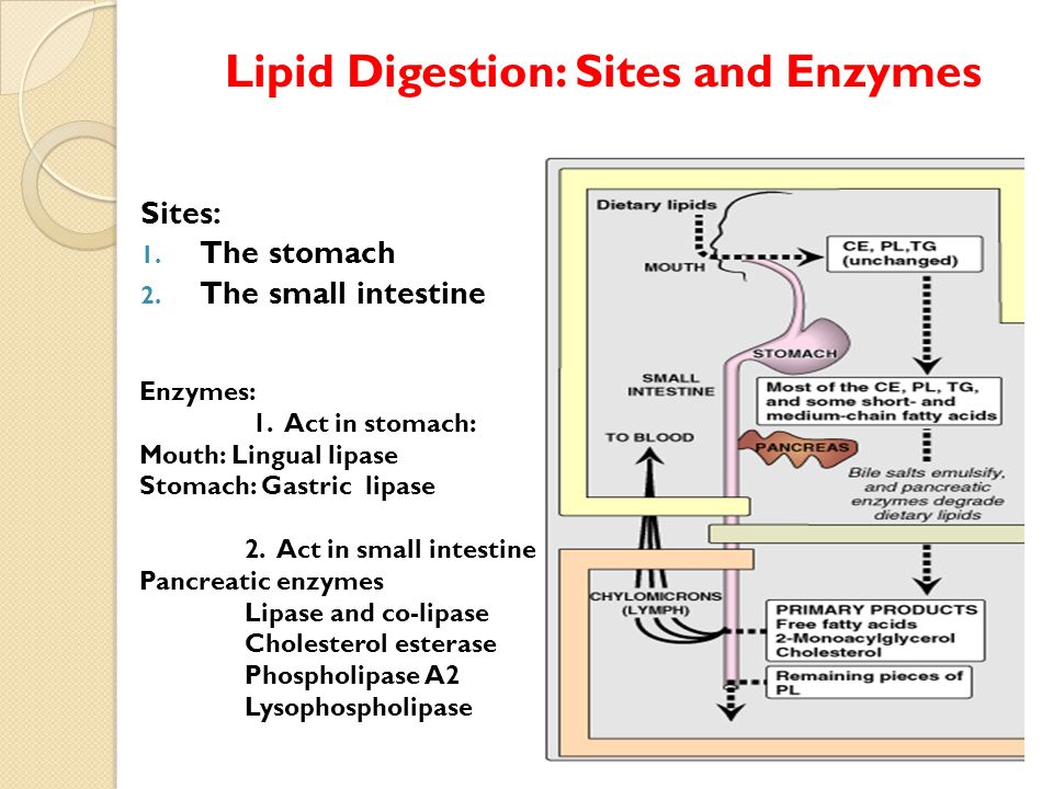 Dinitrophenol weight loss death photo 2
