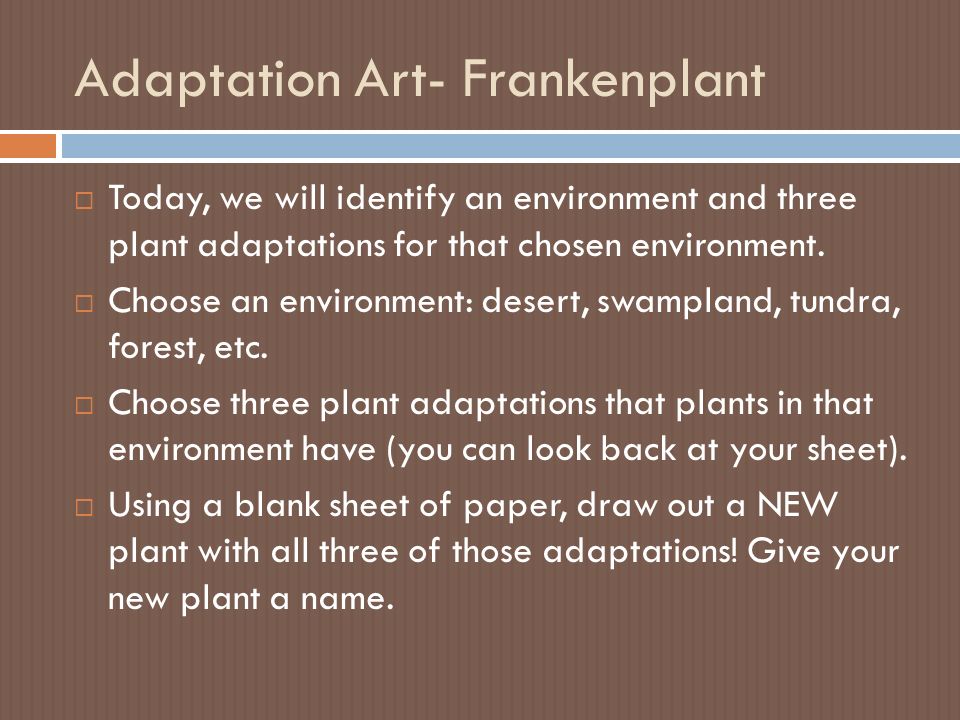 Adaptation Art- Frankenplant  Today, we will identify an environment and three plant adaptations for that chosen environment.