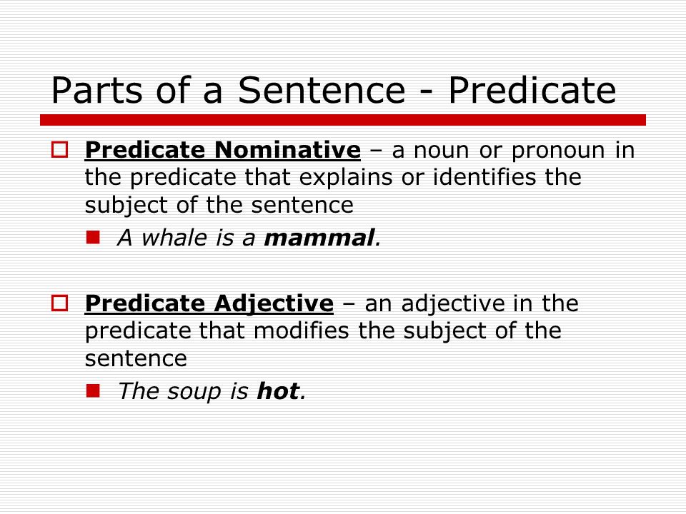 Parts of a Sentence - Predicate  Predicate – says something about the subject ________ ________– the verb  The ambulance raced out of the hospital drive and down the crowded street.