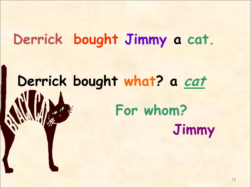 16 Derrickbought Jimmya cat. Derrick bought what a cat For whom Jimmy