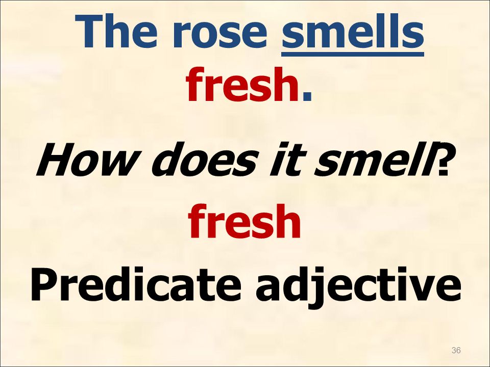36 The rose smells fresh. How does it smell fresh Predicate adjective