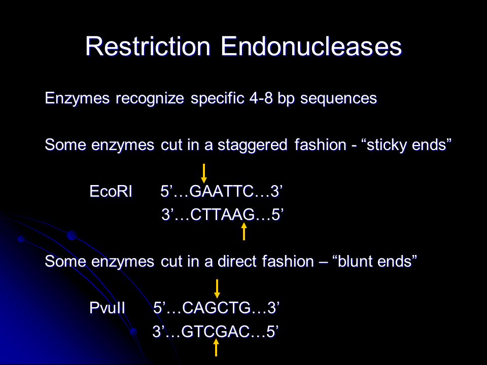 Restriction Endonucleases Enzymes recognize specific 4-8 bp sequences Some enzymes cut in a staggered fashion - sticky ends EcoRI 5’…GAATTC…3’ EcoRI 5’…GAATTC…3’ 3’…CTTAAG…5’ 3’…CTTAAG…5’ Some enzymes cut in a direct fashion – blunt ends PvuII 5’…CAGCTG…3’ PvuII 5’…CAGCTG…3’ 3’…GTCGAC…5’ 3’…GTCGAC…5’