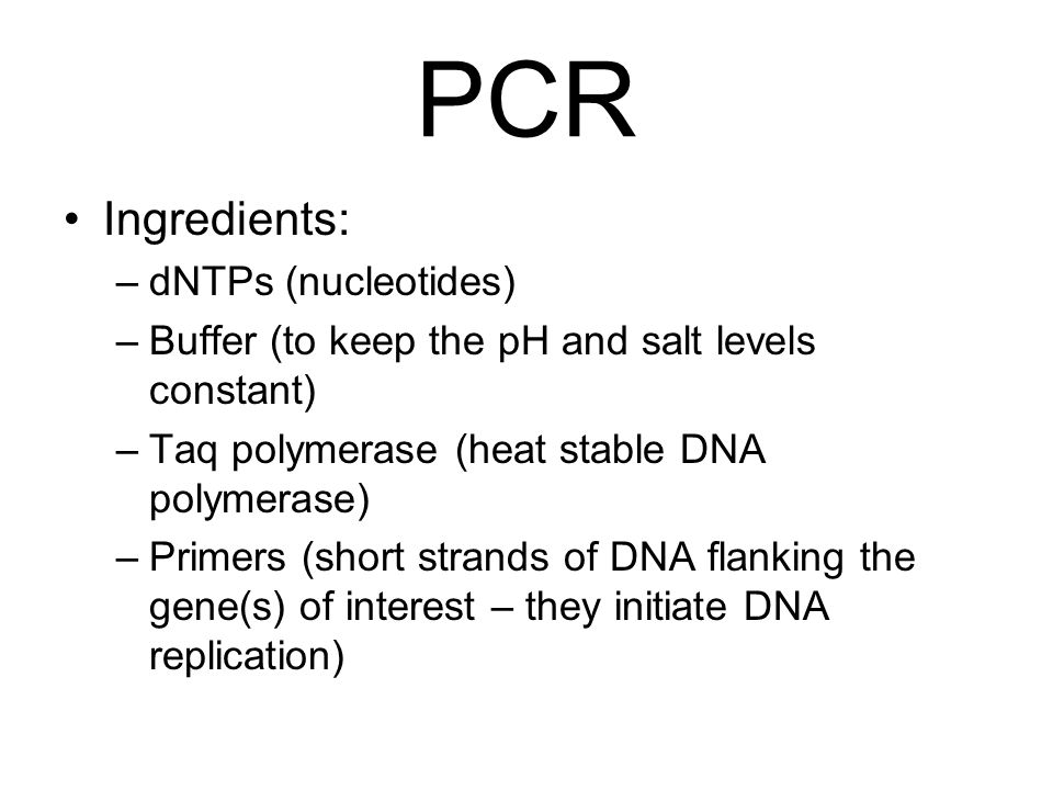 PCR Ingredients: –dNTPs (nucleotides) –Buffer (to keep the pH and salt levels constant) –Taq polymerase (heat stable DNA polymerase) –Primers (short strands of DNA flanking the gene(s) of interest – they initiate DNA replication)