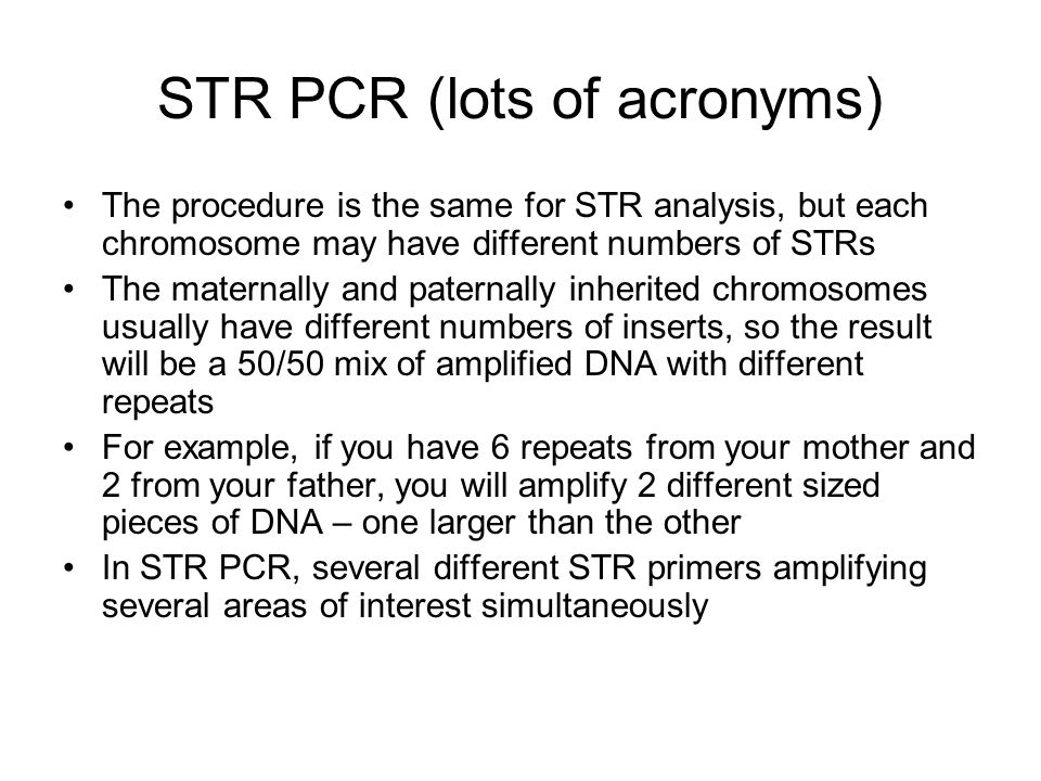 STR PCR (lots of acronyms) The procedure is the same for STR analysis, but each chromosome may have different numbers of STRs The maternally and paternally inherited chromosomes usually have different numbers of inserts, so the result will be a 50/50 mix of amplified DNA with different repeats For example, if you have 6 repeats from your mother and 2 from your father, you will amplify 2 different sized pieces of DNA – one larger than the other In STR PCR, several different STR primers amplifying several areas of interest simultaneously