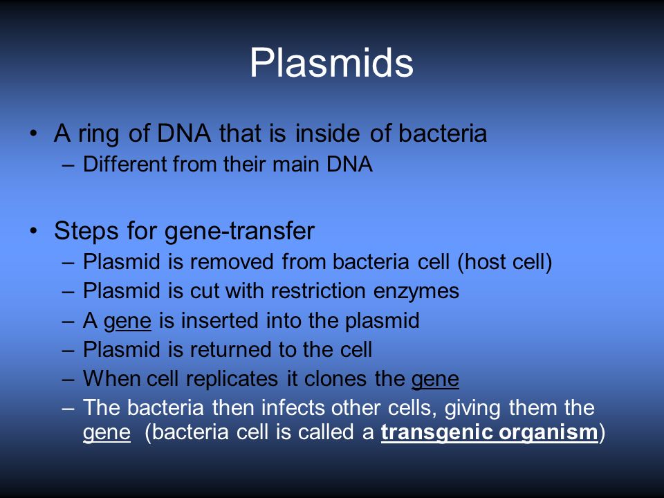 Plasmids A ring of DNA that is inside of bacteria –Different from their main DNA Steps for gene-transfer –Plasmid is removed from bacteria cell (host cell) –Plasmid is cut with restriction enzymes –A gene is inserted into the plasmid –Plasmid is returned to the cell –When cell replicates it clones the gene –The bacteria then infects other cells, giving them the gene (bacteria cell is called a transgenic organism)