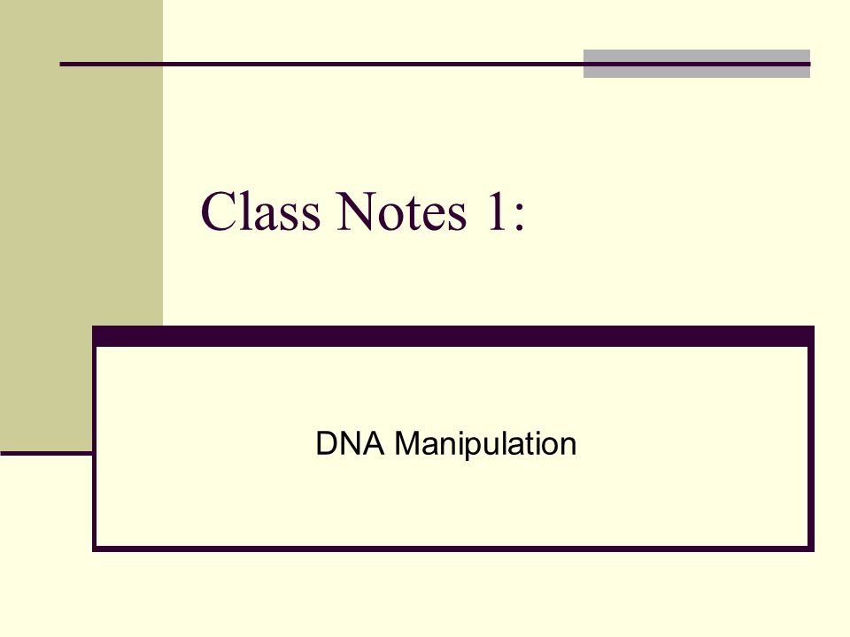 Class Notes 1: DNA Manipulation