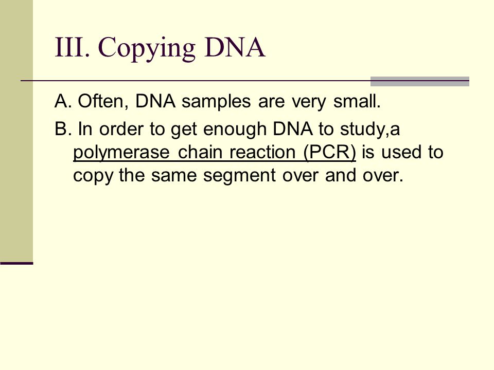 III. Copying DNA A. Often, DNA samples are very small.