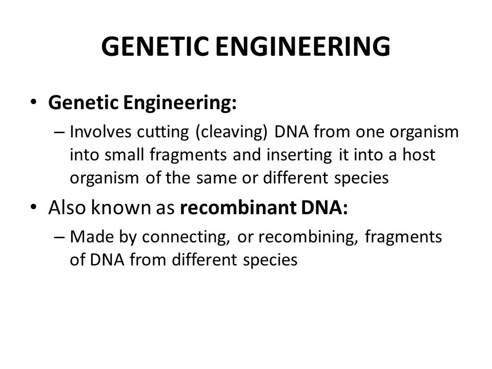 Recombinant Dna Worksheet Delibertad Recombinant Dna Worksheet Samsungblueearth