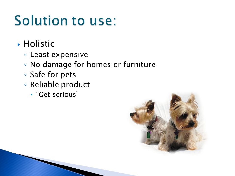  Holistic ◦ Least expensive ◦ No damage for homes or furniture ◦ Safe for pets ◦ Reliable product  Get serious
