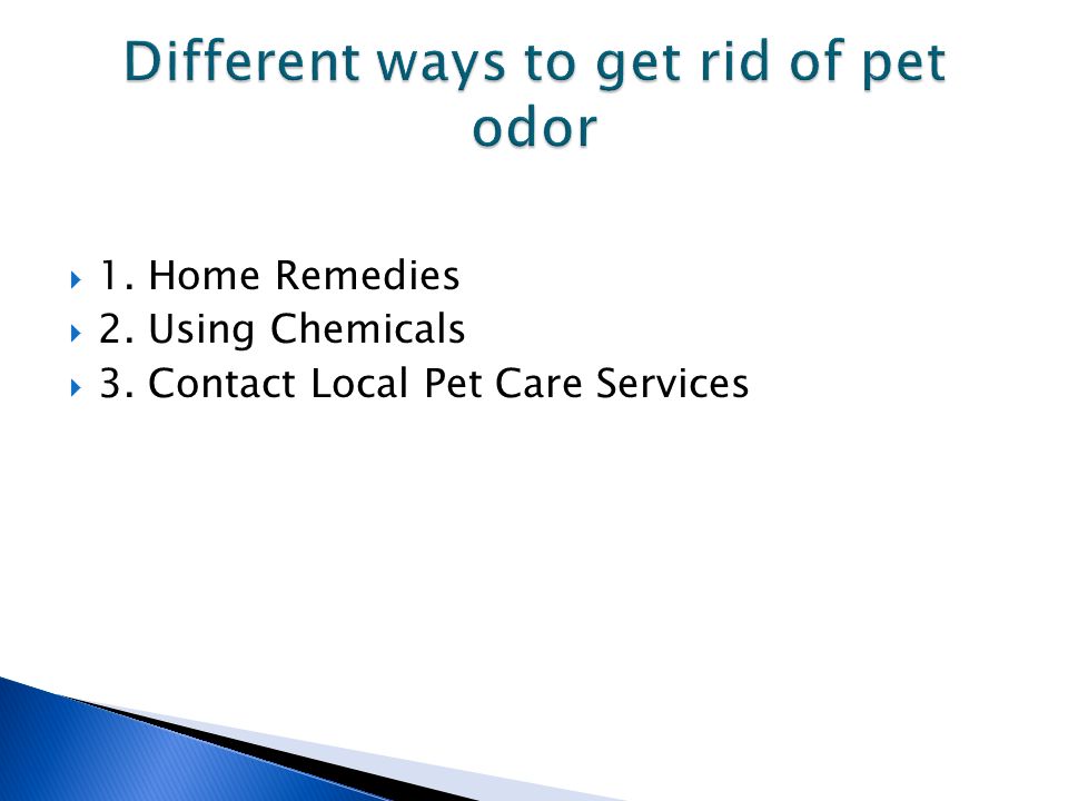  1. Home Remedies  2. Using Chemicals  3. Contact Local Pet Care Services