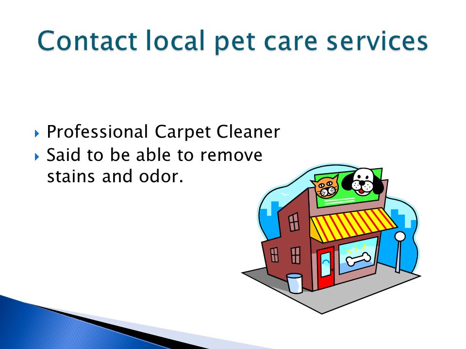  Professional Carpet Cleaner  Said to be able to remove stains and odor.