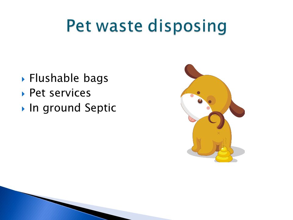  Flushable bags  Pet services  In ground Septic