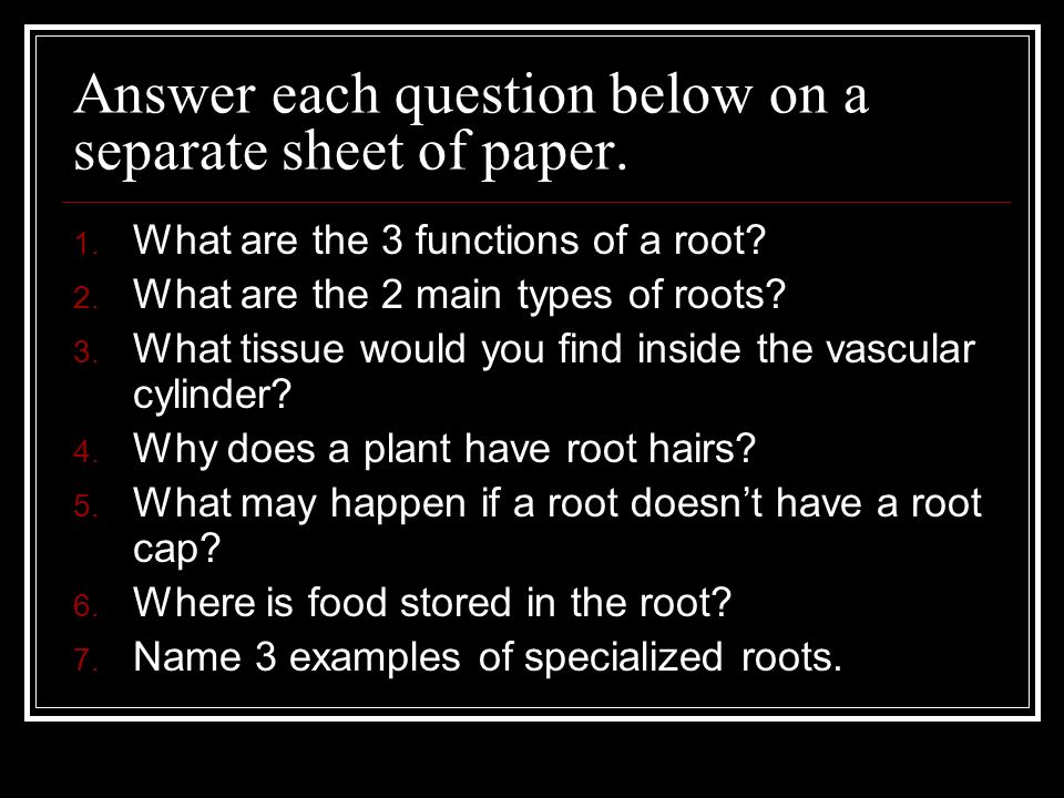 Answer each question below on a separate sheet of paper.