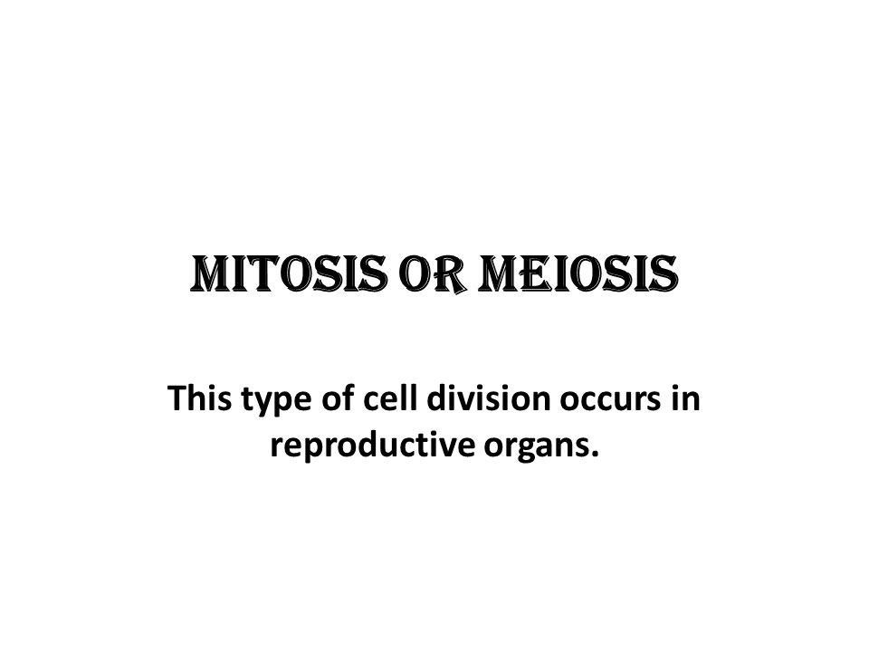 Mitosis or Meiosis This type of cell division occurs in reproductive organs.
