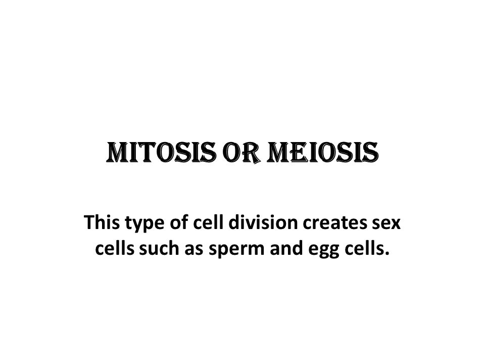 Mitosis or Meiosis This type of cell division creates sex cells such as sperm and egg cells.