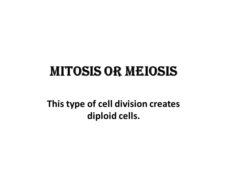 Mitosis or Meiosis This type of cell division creates diploid cells.