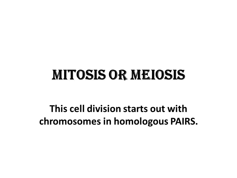 Mitosis or meiosis This cell division starts out with chromosomes in homologous PAIRS.