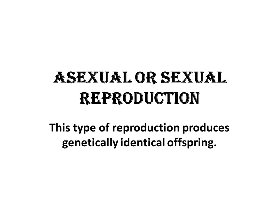 Asexual or sexual reproduction This type of reproduction produces genetically identical offspring.