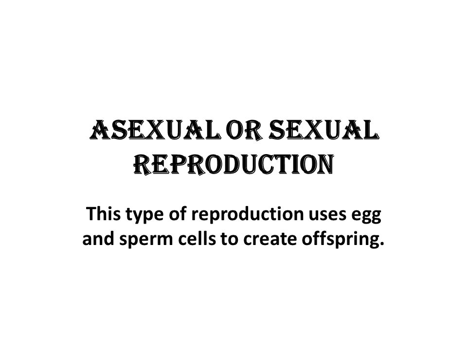 Asexual or sexual reproduction This type of reproduction uses egg and sperm cells to create offspring.