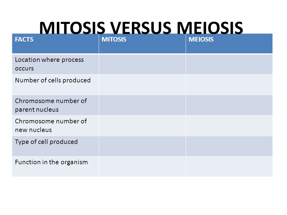 FACTSMITOSISMEIOSIS Location where process occurs Number of cells produced Chromosome number of parent nucleus Chromosome number of new nucleus Type of cell produced Function in the organism MITOSIS VERSUS MEIOSIS